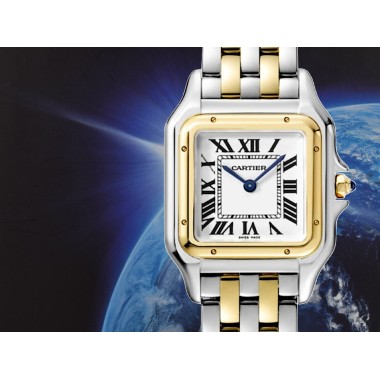 Panthere de Cartier W2PN0007 medium