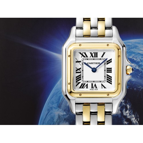 Panthere de Cartier W2PN0007 medium