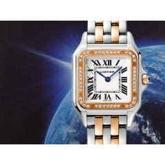 Panthère Medium steel/Rose Gold Diamond Ref. W3PN0007