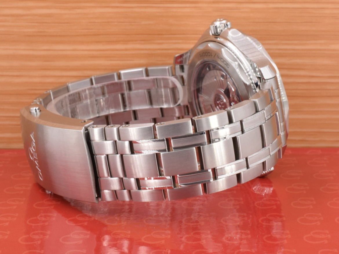 Diver 300 M CO‑AXIAL MASTER CHRONOMETER 42 MM