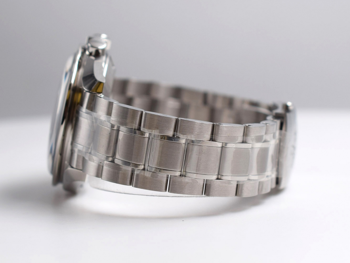 Professional Moonwatch New