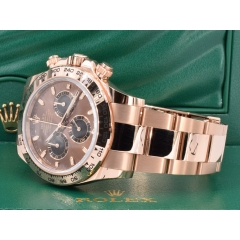 116505 New 2023 - Chocolate Dial