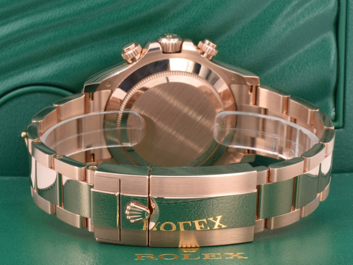 116505 New 2023 - Chocolate Dial