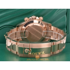 116505 New 2023 - Chocolate Dial