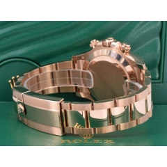 116505 New 2023 - Chocolate Dial