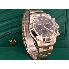 116505 Chocolate Dial - New 2020