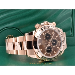 116505 Chocolate Dial - New 2020