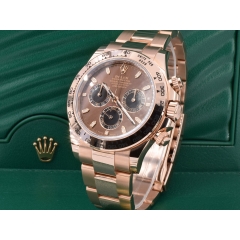 116505 Chocolate Dial - New 2020