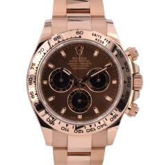 116505 Chocolate Dial - New 2020