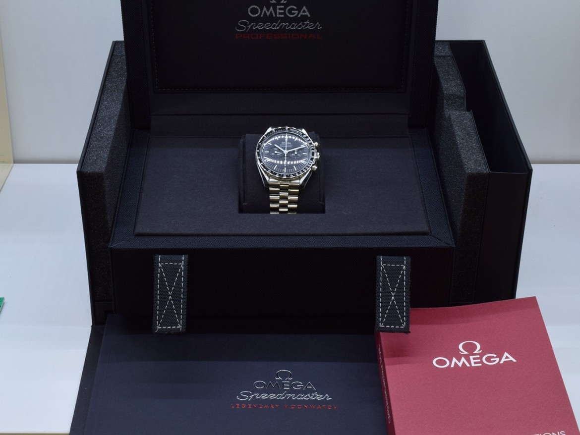 Professional Moonwatch New