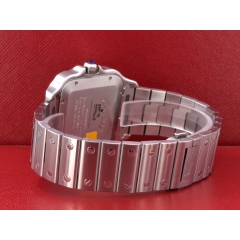 Santos Large Green Dial WSSA0062 NEW