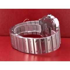 Santos Large Green Dial WSSA0062 NEW