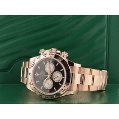 126505 Rose Gold - New 2024