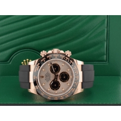 116515LN Sundust new 2022 discontinued