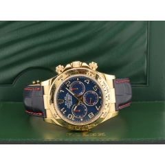 116518 Blue Racing & Yellow Gold - LC 100 2009