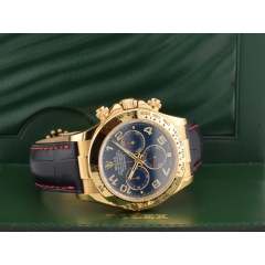 116518 Blue Racing & Yellow Gold - LC 100 2009