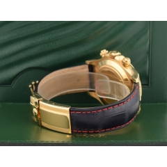 116518 Blue Racing & Yellow Gold - LC 100 2009