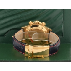 116518 Blue Racing & Yellow Gold - LC 100 2009