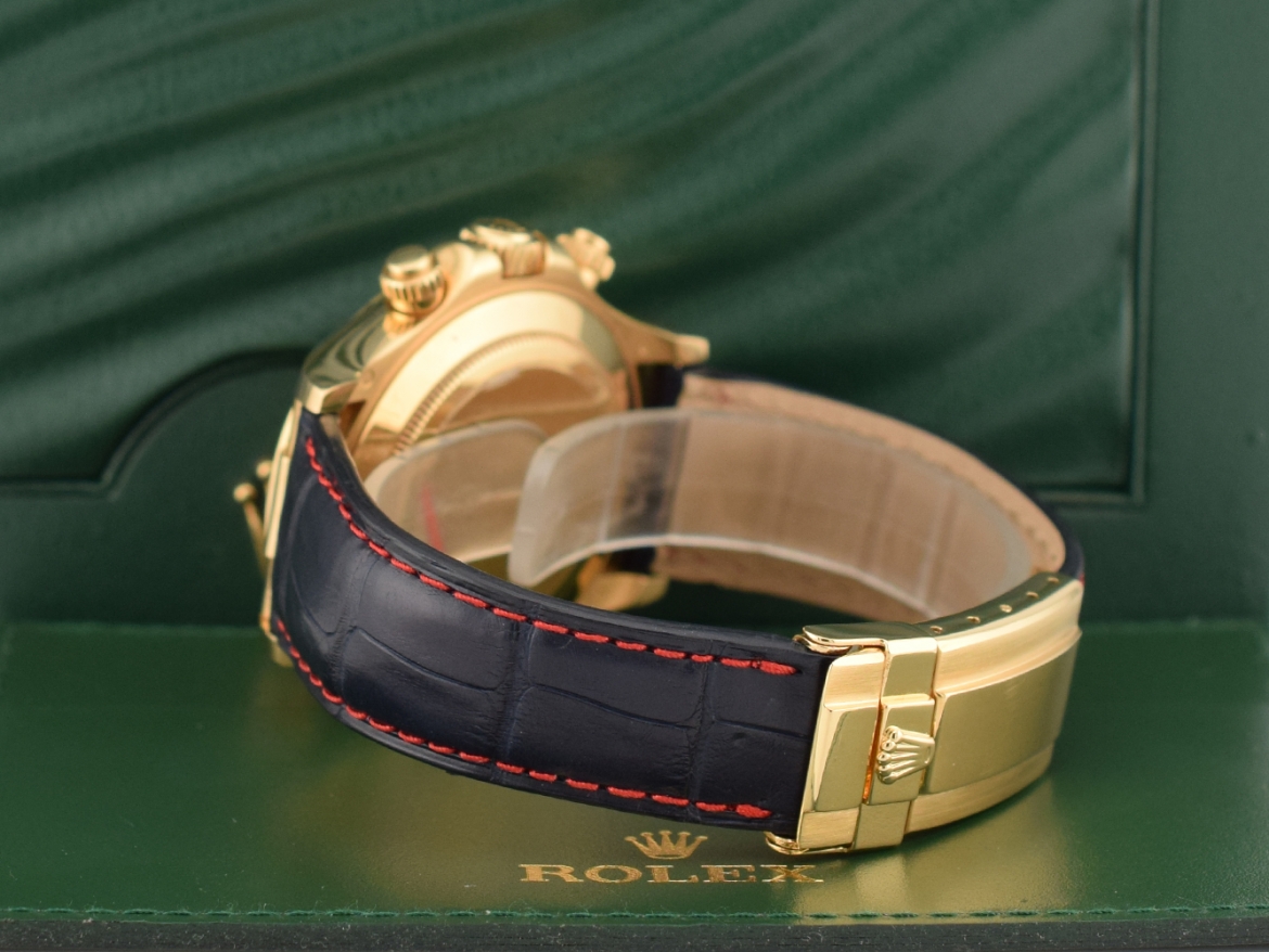 116518 Blue Racing & Yellow Gold - LC 100 2009