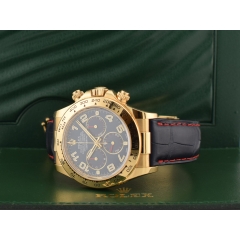 116518 Blue Racing & Yellow Gold - LC 100 2009