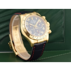 116518 Blue Racing & Yellow Gold - LC 100 2009