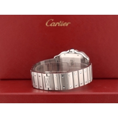 Santos Large Blue Dial WSSA0071 NEW