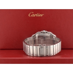 Santos Large Blue Dial WSSA0071 NEW