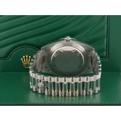 228206 Platinum & Meteorite Dial - New 2021