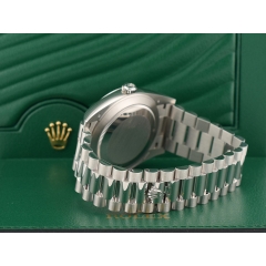 228206 Platinum & Meteorite Dial - New 2021