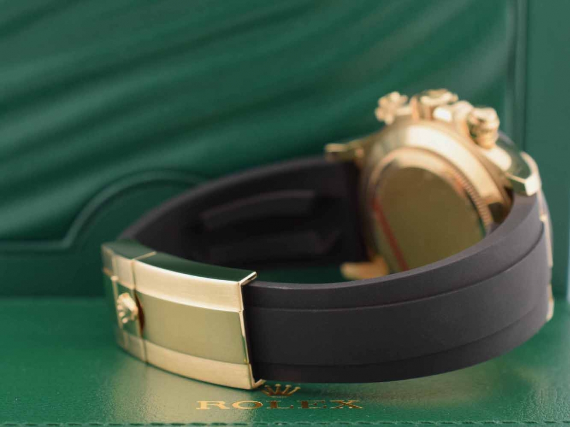 116518LN Paul Newman - New 2022