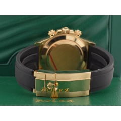 116518LN Paul Newman - New 2022