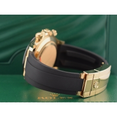 116518LN Paul Newman - New 2022