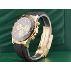 116518LN Paul Newman - New 2022