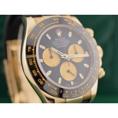 116518LN Paul Newman - New 2022