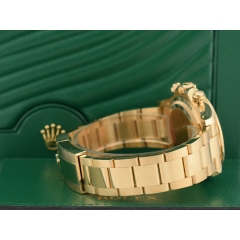 126508 Pikachu  - New 2024