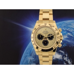 126508 Pikachu  - New 2024