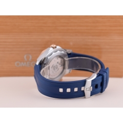 Diver 300 M CO‑AXIAL MASTER CHRONOMETER 42 MM