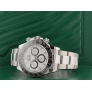 126500LN Panda Dial - New 2025