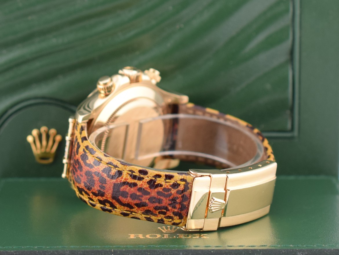 16598SACO Leopard top condition - Full Set 2008 Card