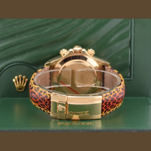 16598SACO Leopard top condition - Full Set 2008 Card