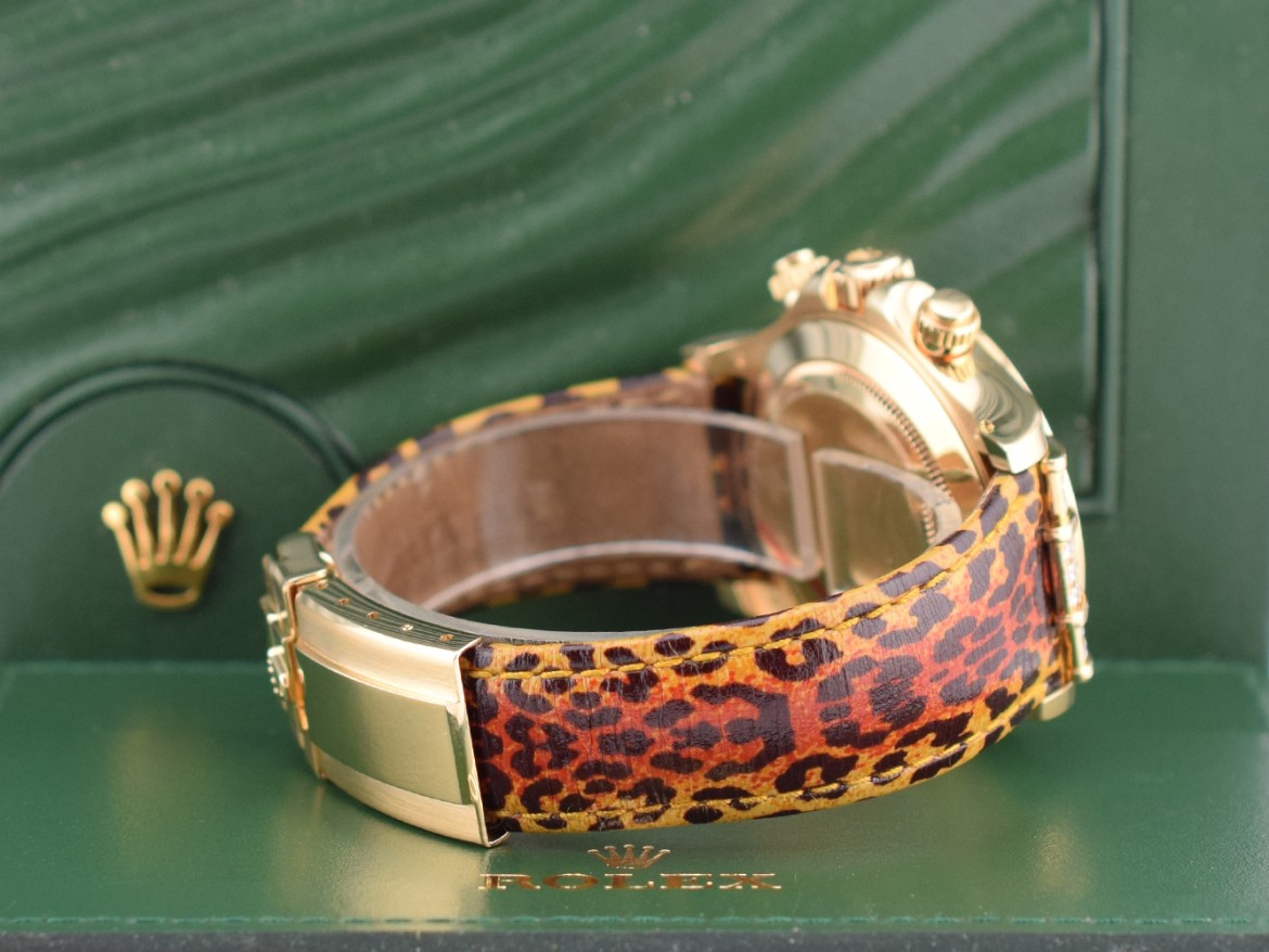 16598SACO Leopard top condition - Full Set 2008 Card