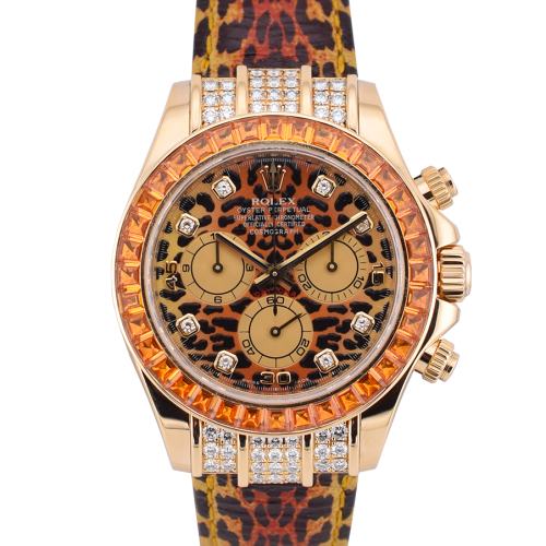 16598SACO Leopard top condition - Full Set 2008 Card