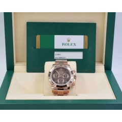 116505 Rose Gold Chocolate Arabic Dial