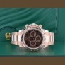 116505 Rose Gold Chocolate Arabic Dial Full Set 2017