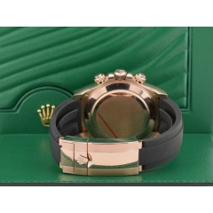 116515LN Sundust new 2023 discontinued