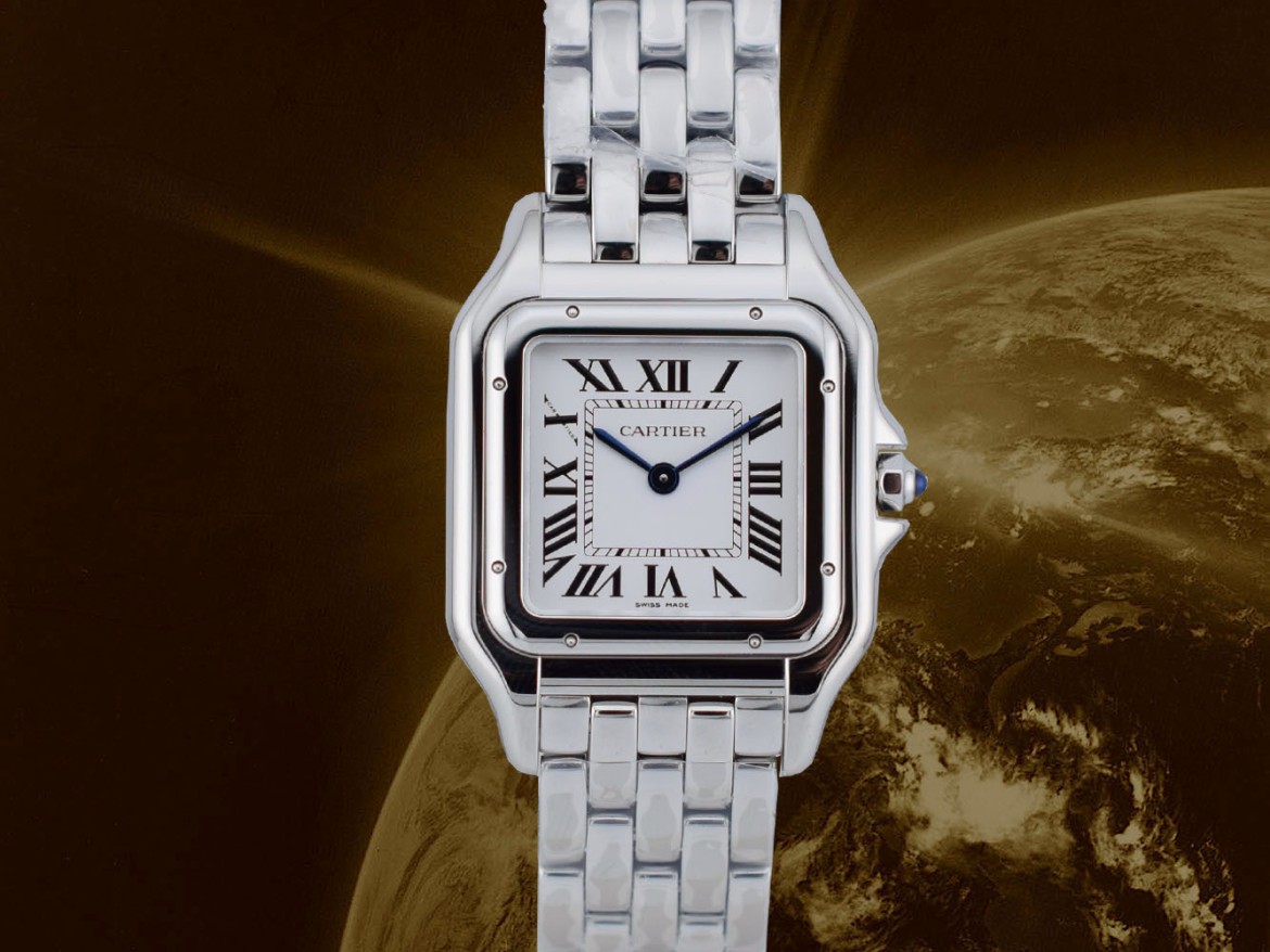 Panthère Medium WSPN0015 new 2026