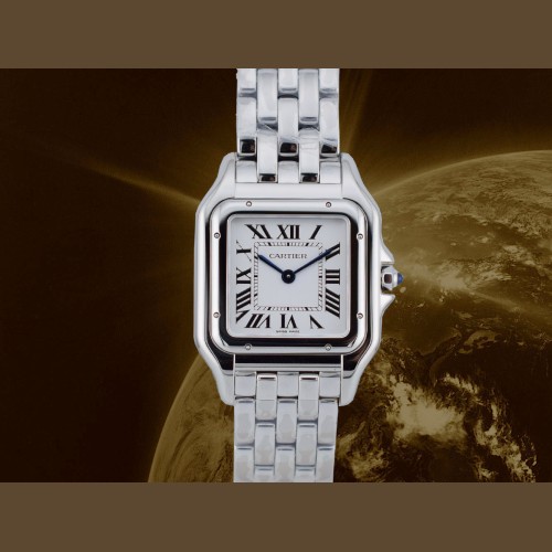 Panthère Medium WSPN0015 new 2026