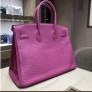 Hermès Birkin 35 Purple
