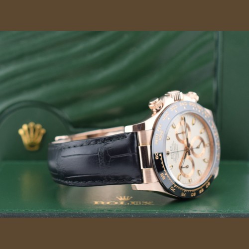 116515LN Ivory Dial Rose gold - Full Set
