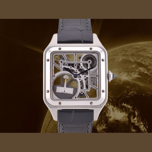 Skeleton Large  Micro-Rotor New 2024